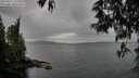 ./images/koeye/fitz-hugh/20250515/fitz-hugh20250515_174509M.jpg