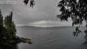 ./images/koeye/fitz-hugh/20250515/fitz-hugh20250515_175010M.jpg