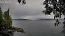 ./images/koeye/fitz-hugh/20250515/fitz-hugh20250515_184010M.jpg