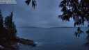 ./images/koeye/fitz-hugh/20250515/fitz-hugh20250515_214009M.jpg