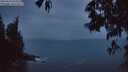 ./images/koeye/fitz-hugh/20250516/fitz-hugh20250516_050509M.jpg