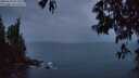 ./images/koeye/fitz-hugh/20250516/fitz-hugh20250516_051008M.jpg