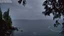 ./images/koeye/fitz-hugh/20250516/fitz-hugh20250516_051507M.jpg