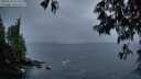 ./images/koeye/fitz-hugh/20250516/fitz-hugh20250516_052509M.jpg