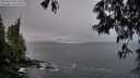 ./images/koeye/fitz-hugh/20250516/fitz-hugh20250516_055009M.jpg