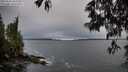 ./images/koeye/fitz-hugh/20250516/fitz-hugh20250516_062510M.jpg