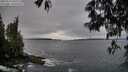 ./images/koeye/fitz-hugh/20250516/fitz-hugh20250516_065510M.jpg