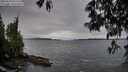 ./images/koeye/fitz-hugh/20250516/fitz-hugh20250516_070510M.jpg