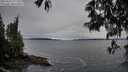 ./images/koeye/fitz-hugh/20250516/fitz-hugh20250516_071510M.jpg