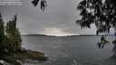 ./images/koeye/fitz-hugh/20250516/fitz-hugh20250516_074510M.jpg