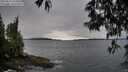 ./images/koeye/fitz-hugh/20250516/fitz-hugh20250516_075010M.jpg