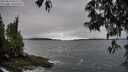 ./images/koeye/fitz-hugh/20250516/fitz-hugh20250516_075510M.jpg