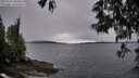 ./images/koeye/fitz-hugh/20250516/fitz-hugh20250516_080010M.jpg