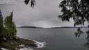 ./images/koeye/fitz-hugh/20250516/fitz-hugh20250516_082008M.jpg