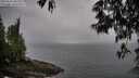 ./images/koeye/fitz-hugh/20250516/fitz-hugh20250516_085009M.jpg