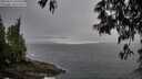 ./images/koeye/fitz-hugh/20250516/fitz-hugh20250516_090010M.jpg