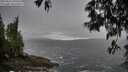 ./images/koeye/fitz-hugh/20250516/fitz-hugh20250516_090510M.jpg