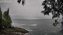 ./images/koeye/fitz-hugh/20250516/fitz-hugh20250516_094011M.jpg