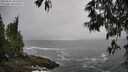 ./images/koeye/fitz-hugh/20250516/fitz-hugh20250516_101510M.jpg