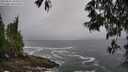 ./images/koeye/fitz-hugh/20250516/fitz-hugh20250516_103508M.jpg