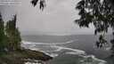 ./images/koeye/fitz-hugh/20250516/fitz-hugh20250516_105010M.jpg
