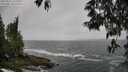 ./images/koeye/fitz-hugh/20250516/fitz-hugh20250516_121511M.jpg