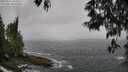 ./images/koeye/fitz-hugh/20250516/fitz-hugh20250516_125011M.jpg