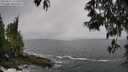 ./images/koeye/fitz-hugh/20250516/fitz-hugh20250516_125510M.jpg