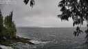 ./images/koeye/fitz-hugh/20250516/fitz-hugh20250516_140010M.jpg