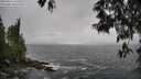 ./images/koeye/fitz-hugh/20250516/fitz-hugh20250516_141010M.jpg