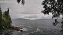 ./images/koeye/fitz-hugh/20250516/fitz-hugh20250516_142510M.jpg