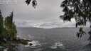 ./images/koeye/fitz-hugh/20250516/fitz-hugh20250516_143010M.jpg