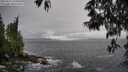 ./images/koeye/fitz-hugh/20250516/fitz-hugh20250516_144010M.jpg