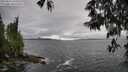 ./images/koeye/fitz-hugh/20250516/fitz-hugh20250516_144510M.jpg