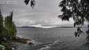 ./images/koeye/fitz-hugh/20250516/fitz-hugh20250516_145010M.jpg