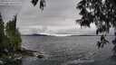 ./images/koeye/fitz-hugh/20250516/fitz-hugh20250516_145511M.jpg