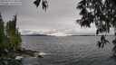 ./images/koeye/fitz-hugh/20250516/fitz-hugh20250516_153011M.jpg