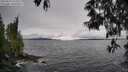 ./images/koeye/fitz-hugh/20250516/fitz-hugh20250516_153509M.jpg
