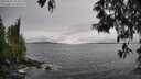 ./images/koeye/fitz-hugh/20250516/fitz-hugh20250516_154010M.jpg