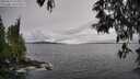 ./images/koeye/fitz-hugh/20250516/fitz-hugh20250516_155009M.jpg