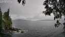 ./images/koeye/fitz-hugh/20250516/fitz-hugh20250516_160510M.jpg