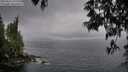 ./images/koeye/fitz-hugh/20250516/fitz-hugh20250516_175510M.jpg