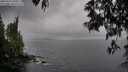 ./images/koeye/fitz-hugh/20250516/fitz-hugh20250516_180013M.jpg