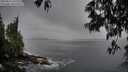 ./images/koeye/fitz-hugh/20250516/fitz-hugh20250516_195508M.jpg