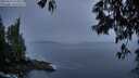 ./images/koeye/fitz-hugh/20250516/fitz-hugh20250516_213509M.jpg