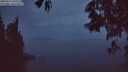 ./images/koeye/fitz-hugh/20250517/fitz-hugh20250517_045007M.jpg