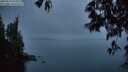 ./images/koeye/fitz-hugh/20250517/fitz-hugh20250517_051009M.jpg