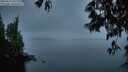 ./images/koeye/fitz-hugh/20250517/fitz-hugh20250517_051509M.jpg