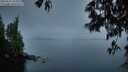 ./images/koeye/fitz-hugh/20250517/fitz-hugh20250517_052009M.jpg