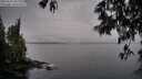 ./images/koeye/fitz-hugh/20250517/fitz-hugh20250517_061510M.jpg
